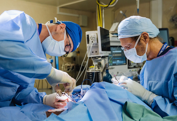 Norfolk surgeons transforming lives in floating hospitals